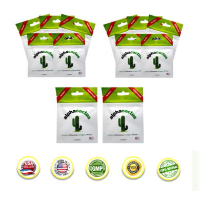 ALPHA CACTUS 12 Packs